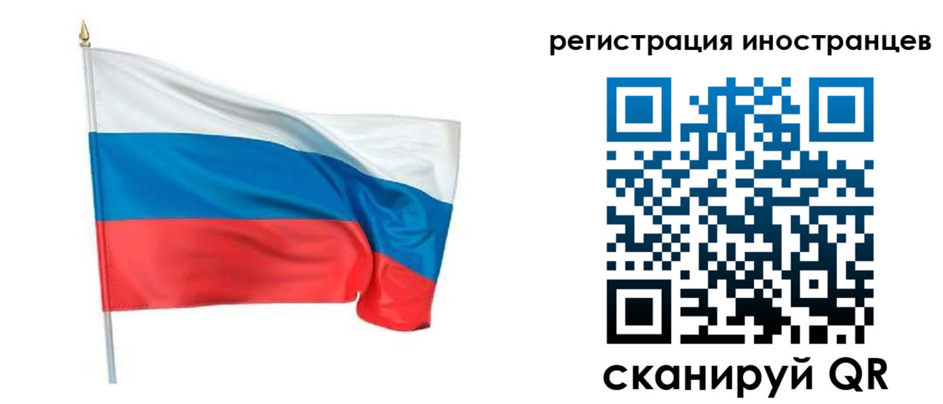 прописка 2025 в Воронежской области